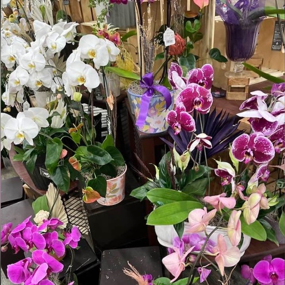 #5 TAHARI ASL Stylish Black Zip Up Dress. Size: 2 - Picture 6 of 6